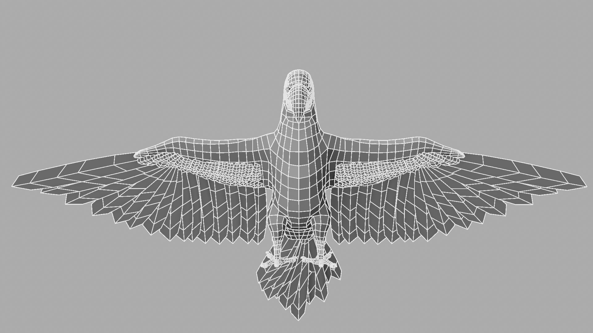 Parrot Rigged and Animated 3D model_39