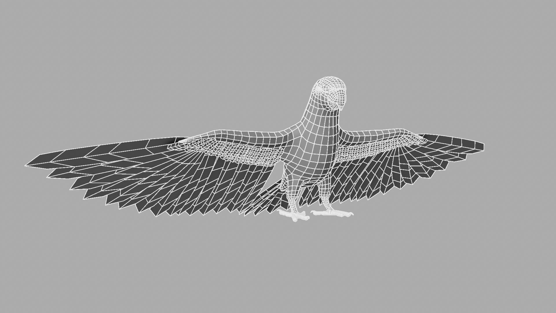 Parrot Rigged and Animated 3D model_22
