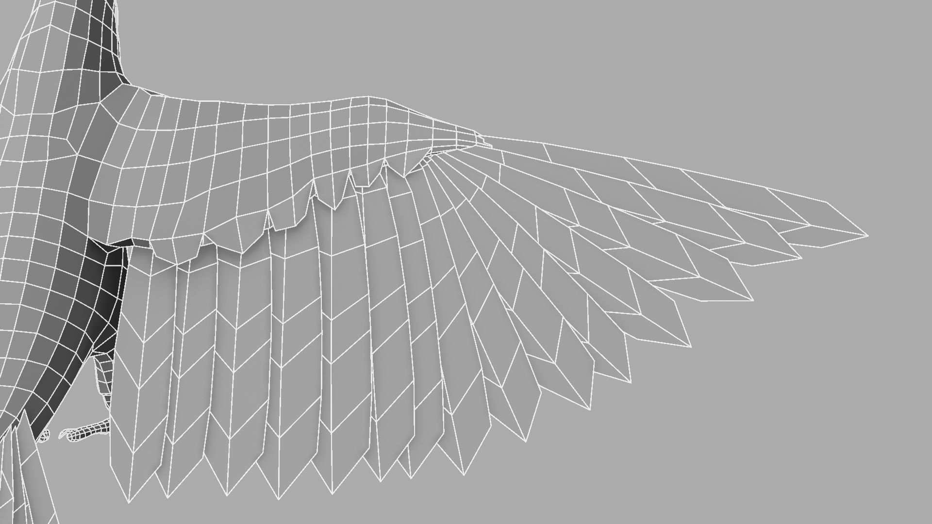 Parrot Rigged and Animated 3D model_31