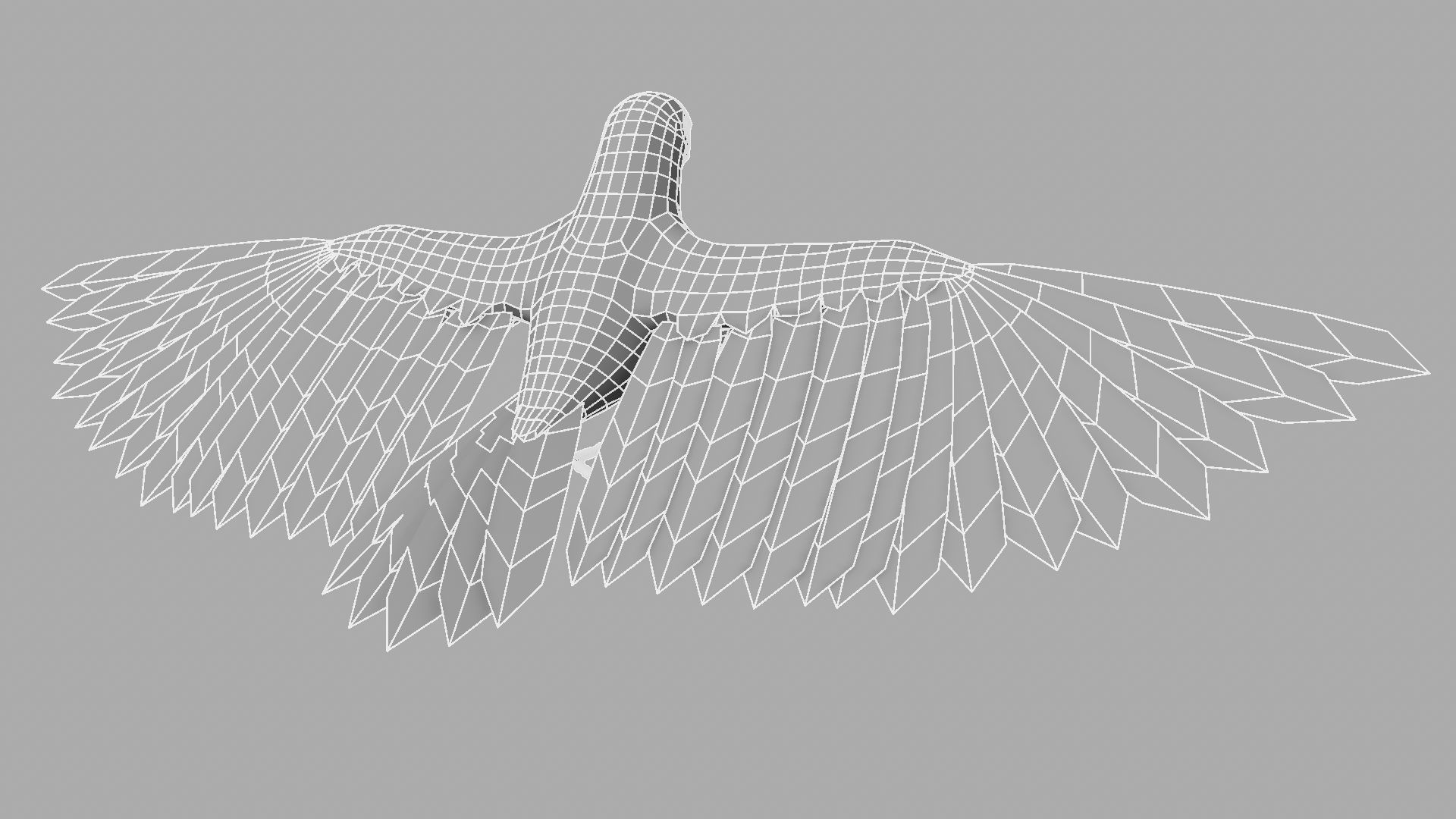 Parrot Rigged and Animated 3D model_28