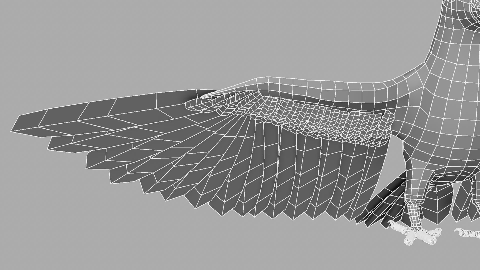 Parrot Rigged and Animated 3D model_44