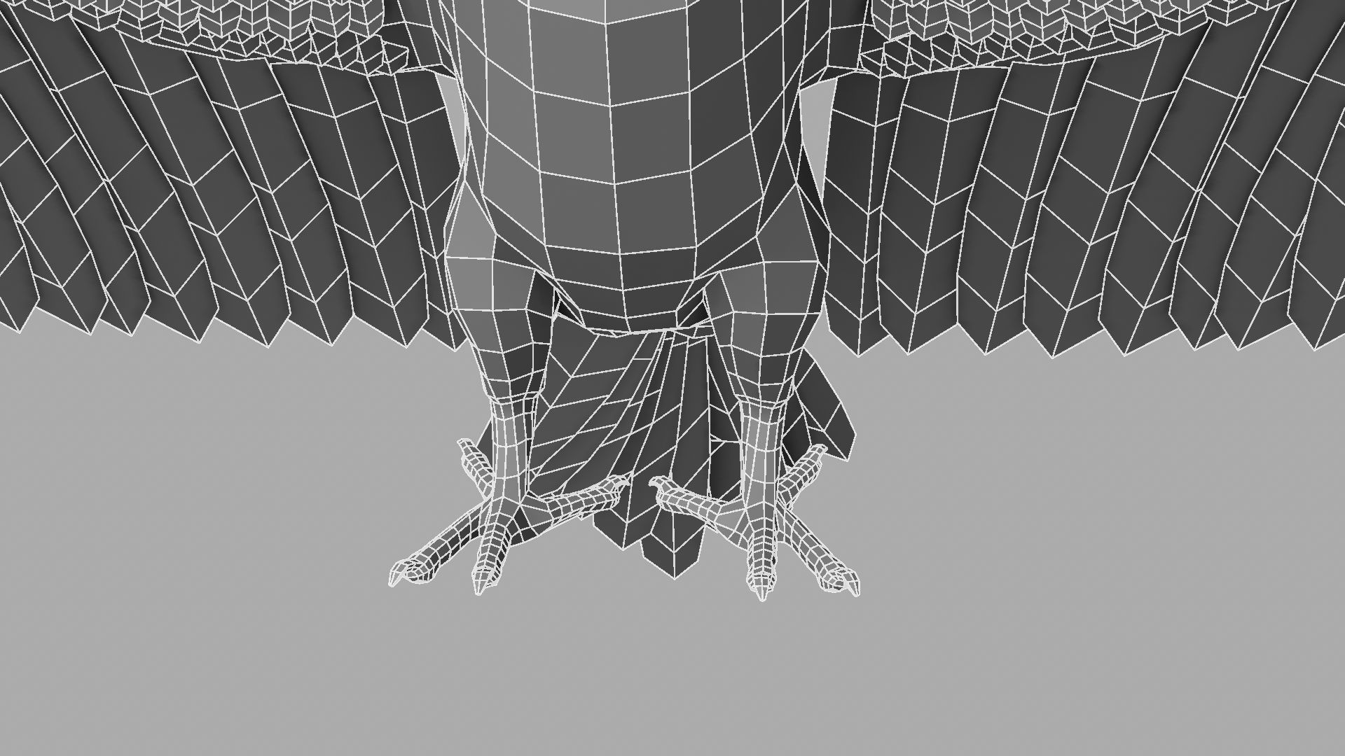 Parrot Rigged and Animated 3D model_35