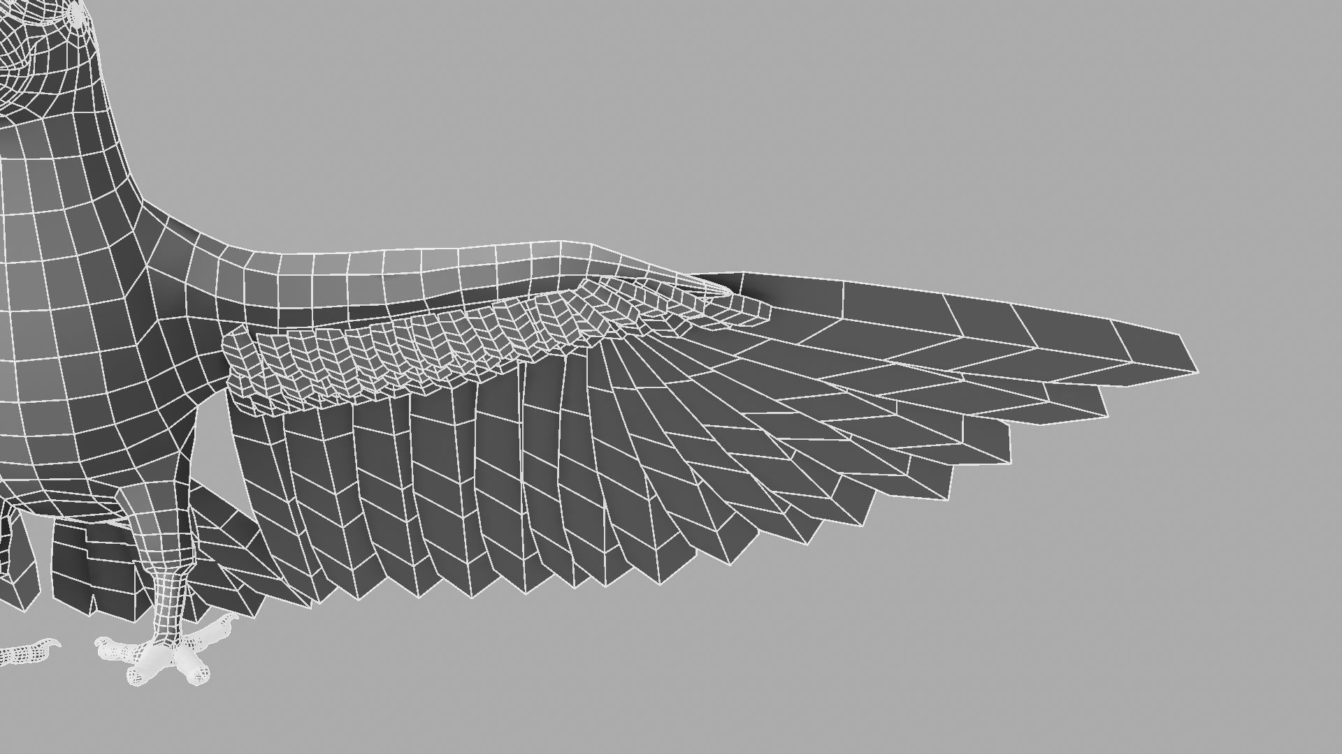 Parrot Rigged and Animated 3D model_42