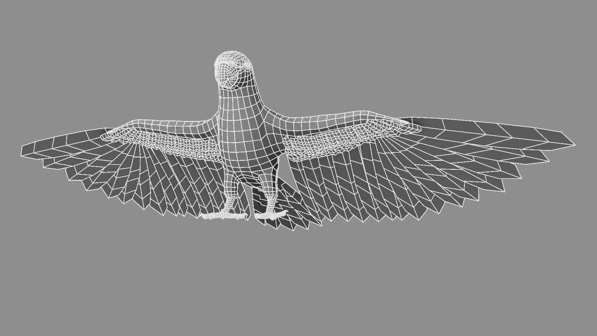 Parrot Rigged and Animated 3D model_20