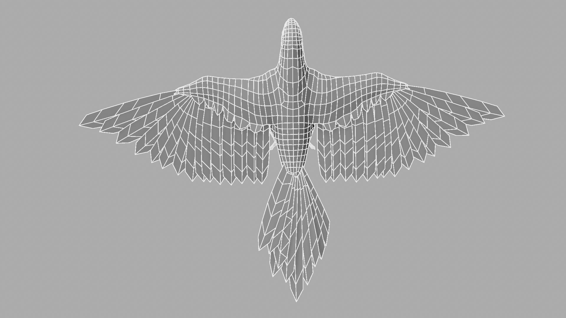 Parrot Rigged and Animated 3D model_33