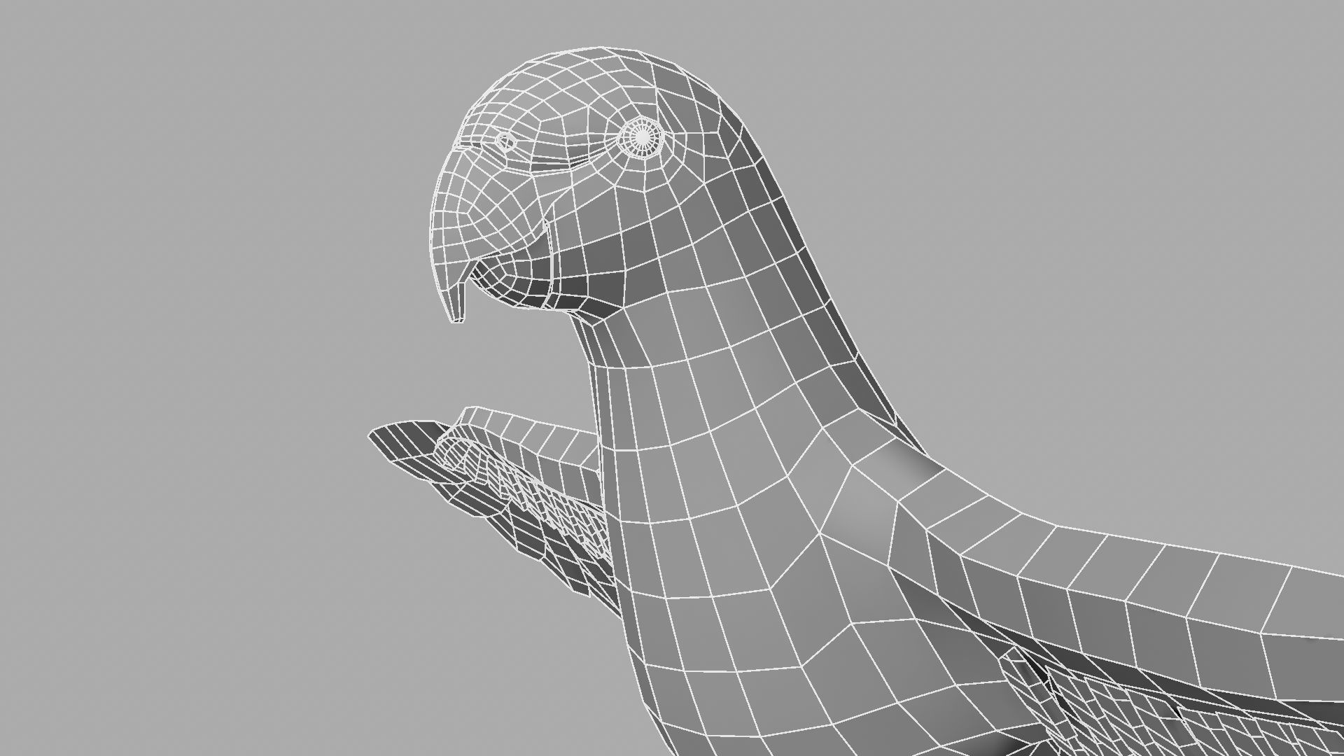 Parrot Rigged and Animated 3D model_32