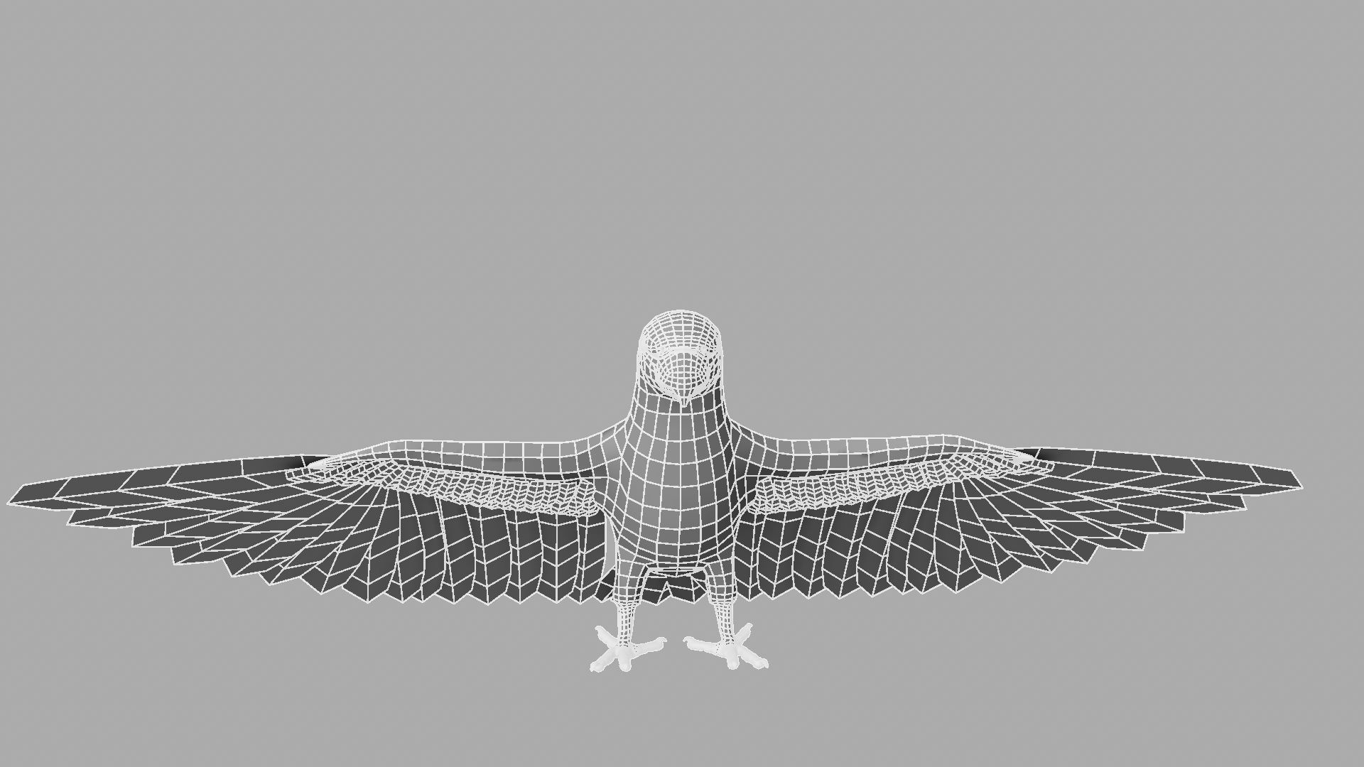Parrot Rigged and Animated 3D model_36