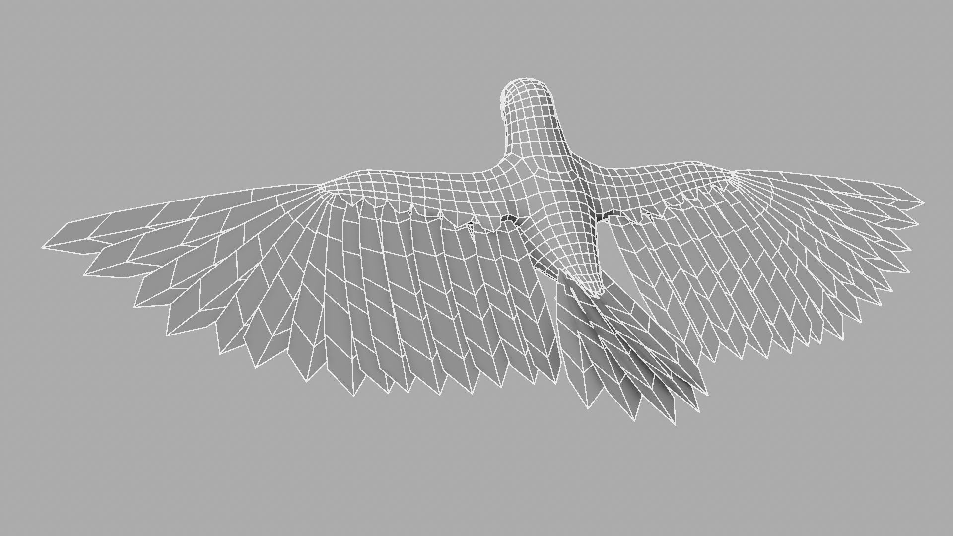 Parrot Rigged and Animated 3D model_26