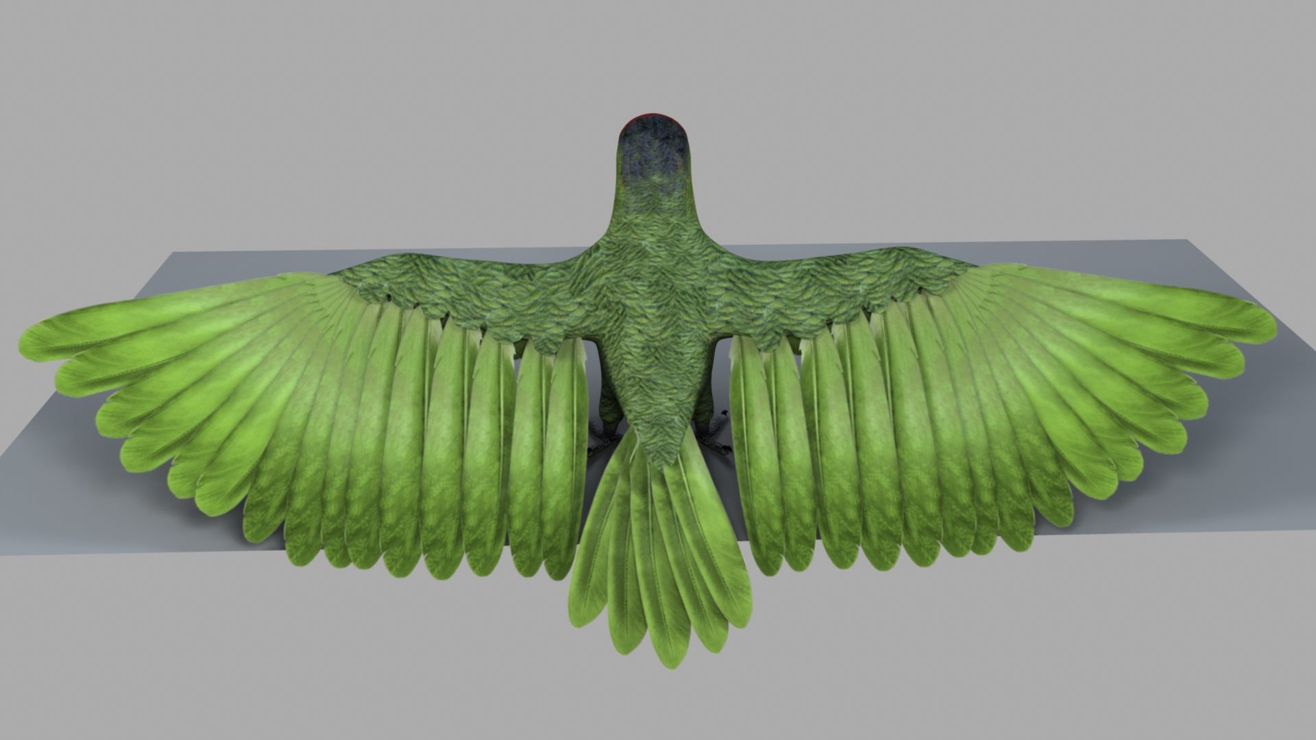 Parrot Rigged and Animated 3D model_55