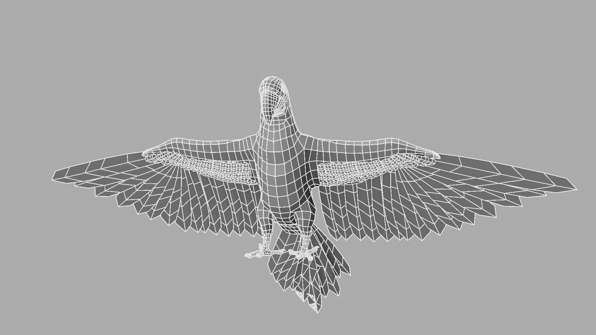 Parrot Rigged and Animated 3D model_17