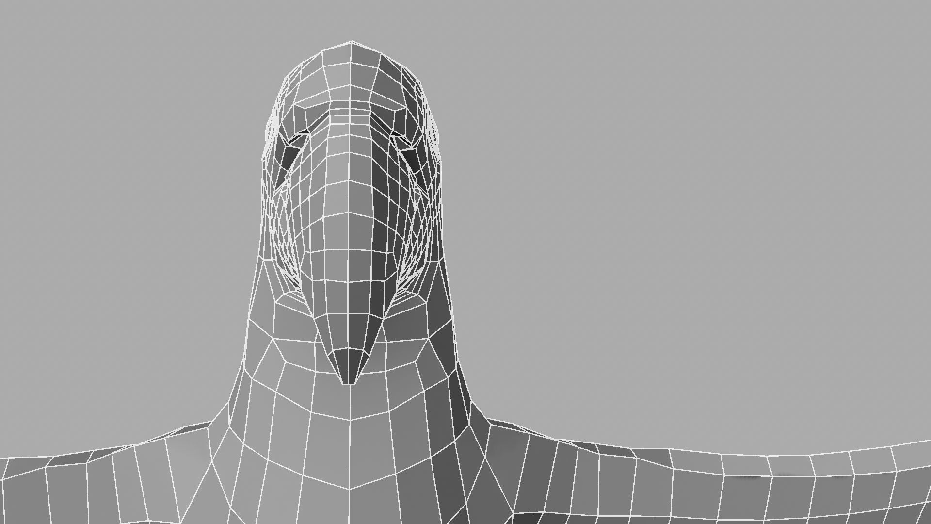 Parrot Rigged and Animated 3D model_43