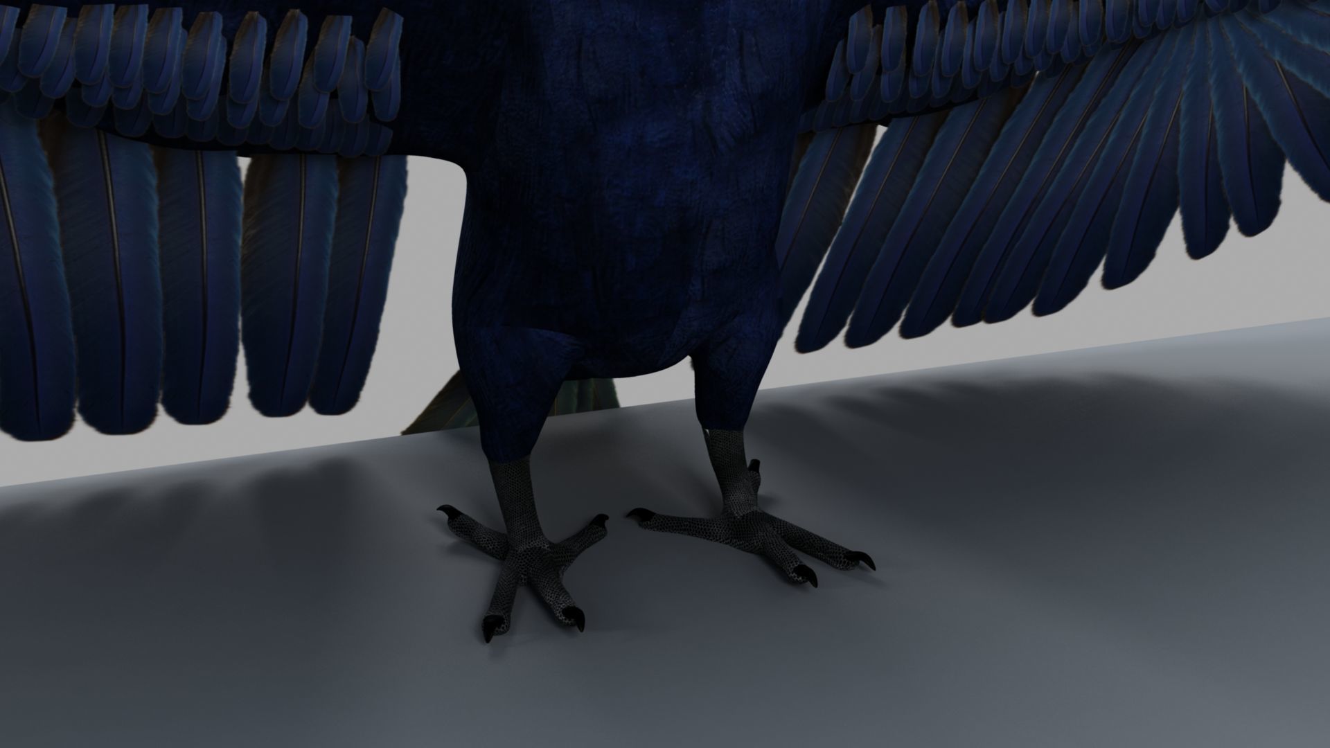 Parrot Rigged and Animated 3D model_7