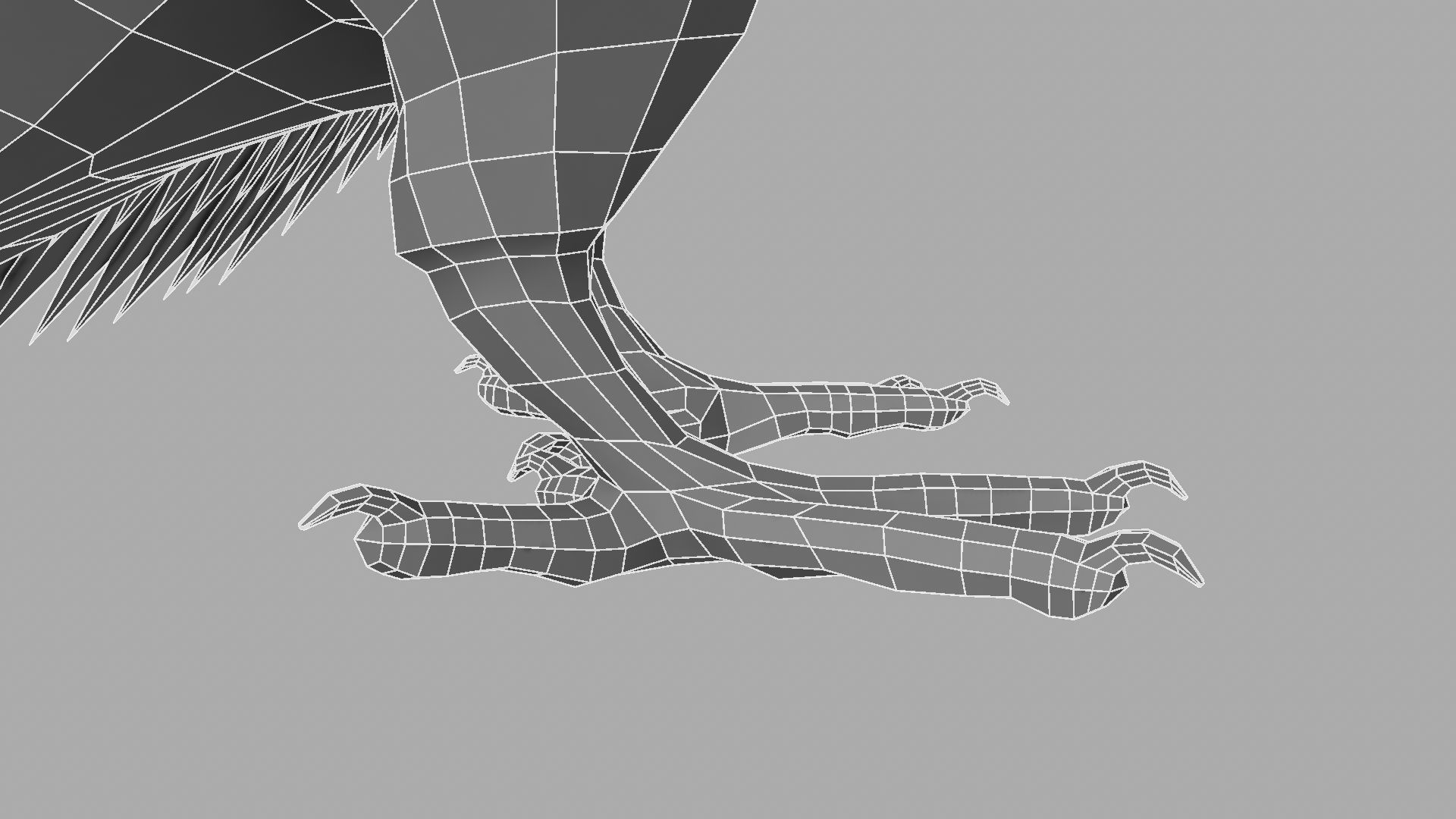 Parrot Rigged and Animated 3D model_37