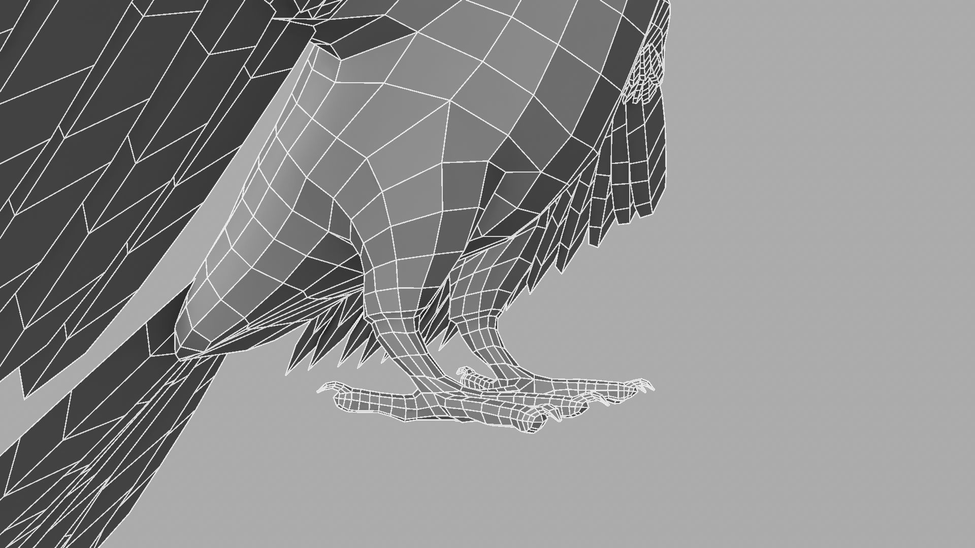 Parrot Rigged and Animated 3D model_41