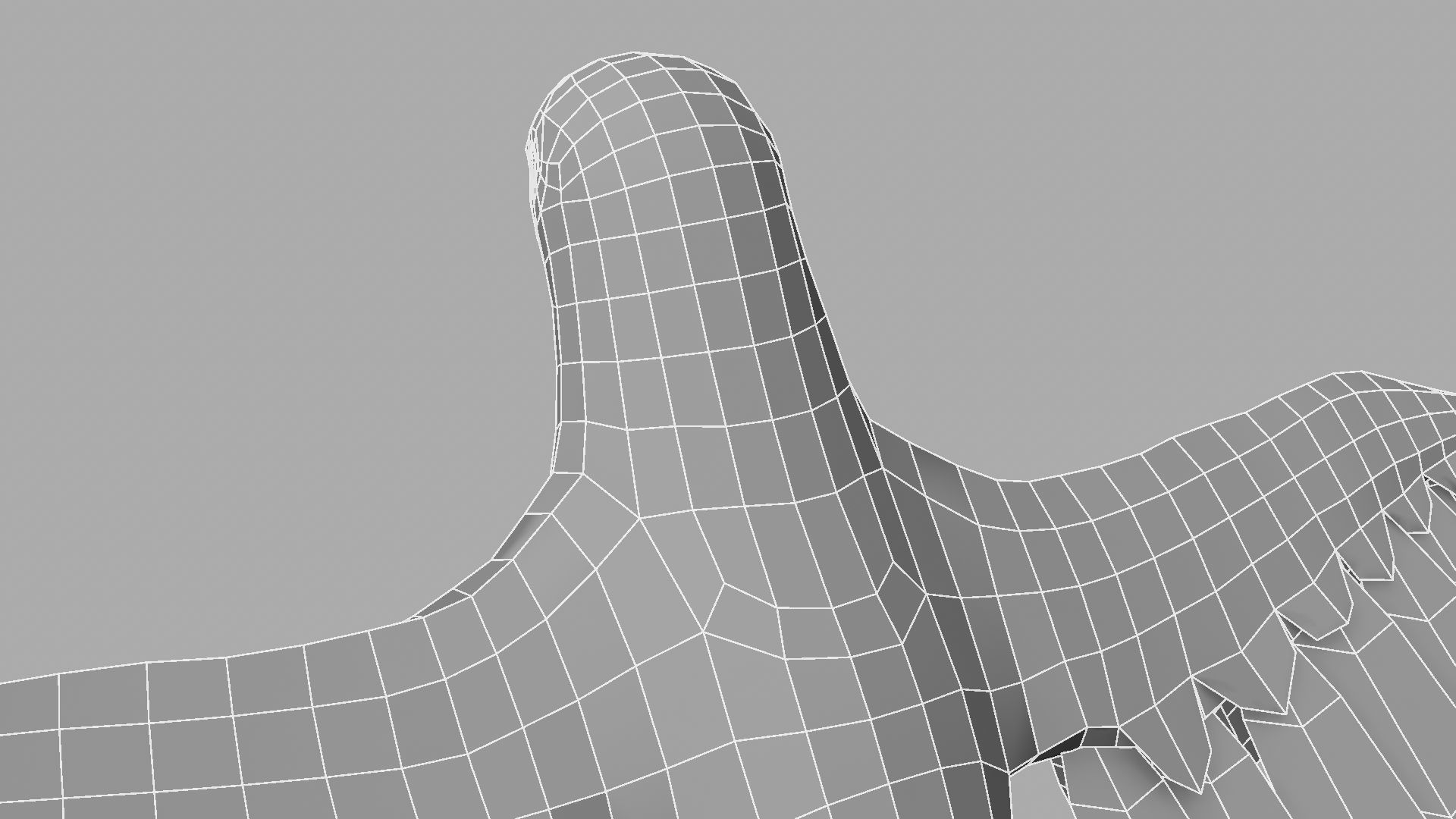 Parrot Rigged and Animated 3D model_40