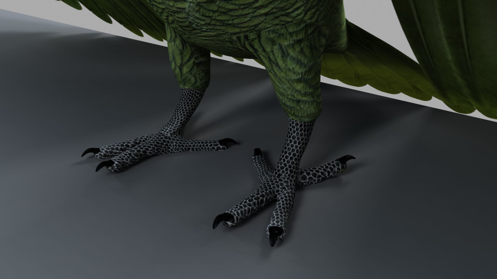 Parrot Rigged and Animated 3D model_57