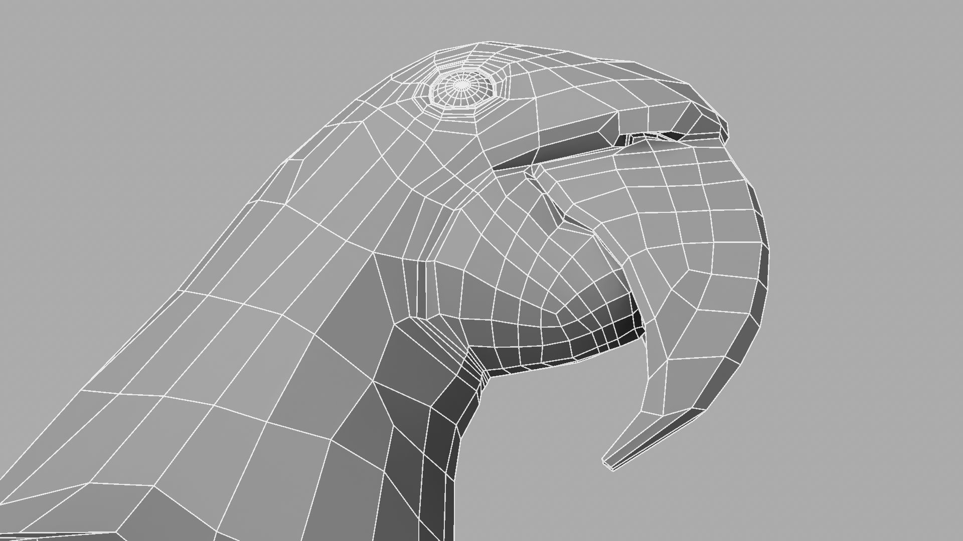 Parrot Rigged and Animated 3D model_27