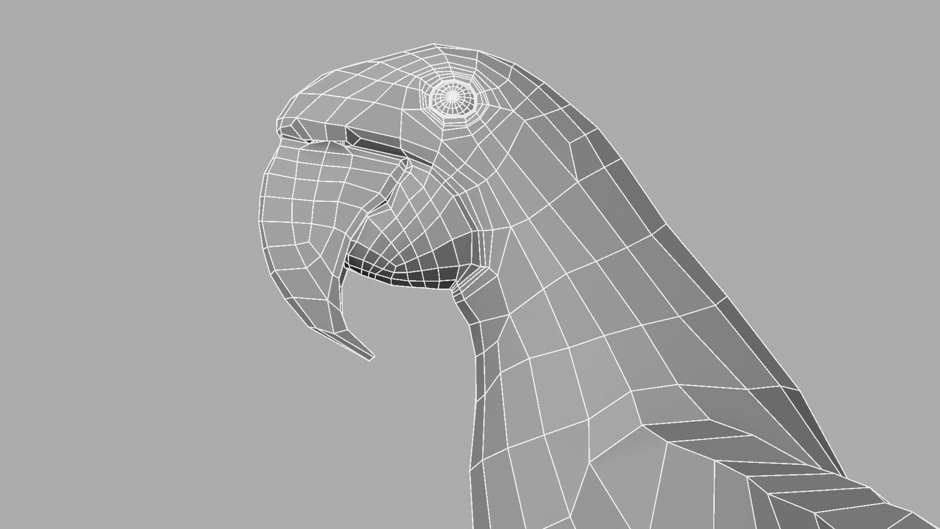 Parrot Rigged and Animated 3D model_23