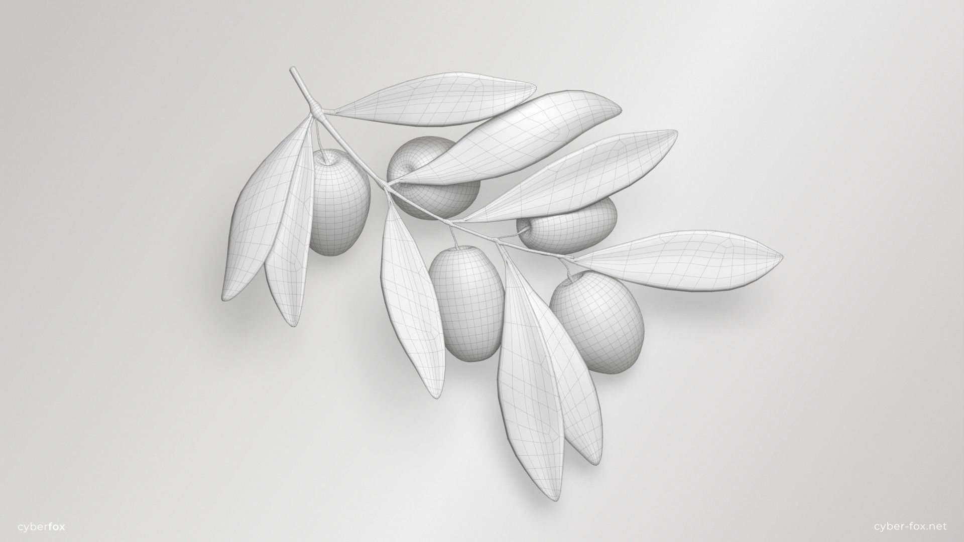 Green Olive Branch Low-poly 3D model_14