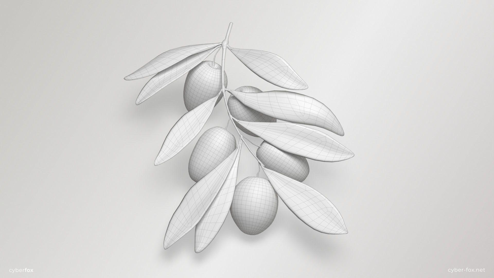 Green Olive Branch Low-poly 3D model_8