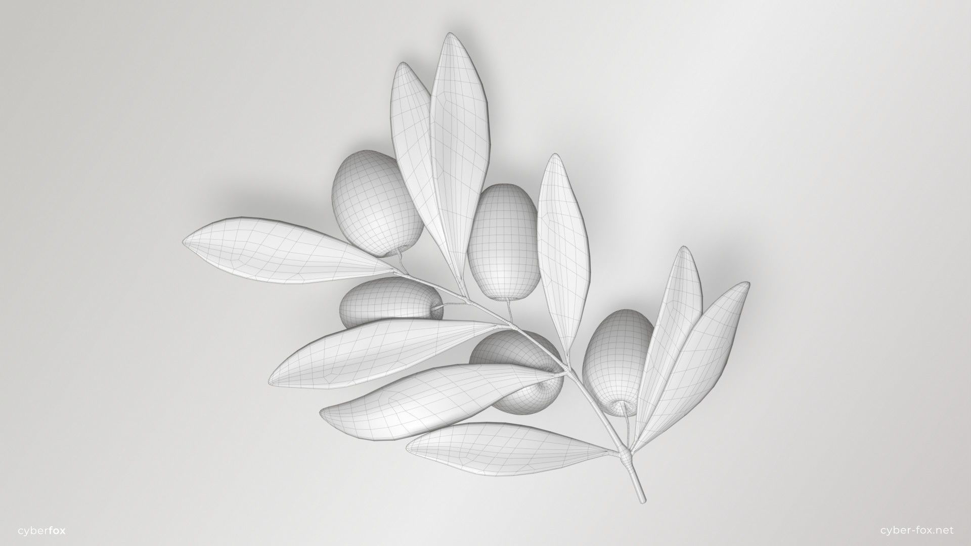 Green Olive Branch Low-poly 3D model_12