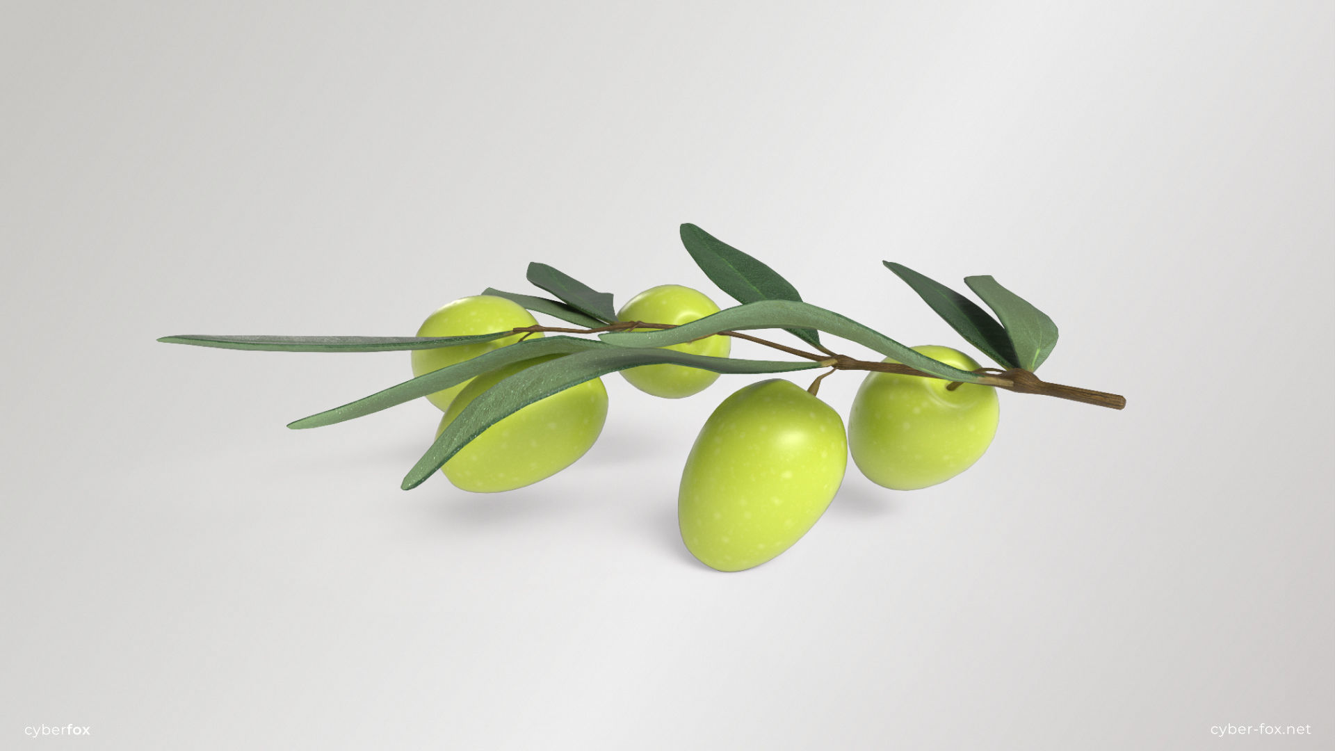 Green Olive Branch Low-poly 3D model_4