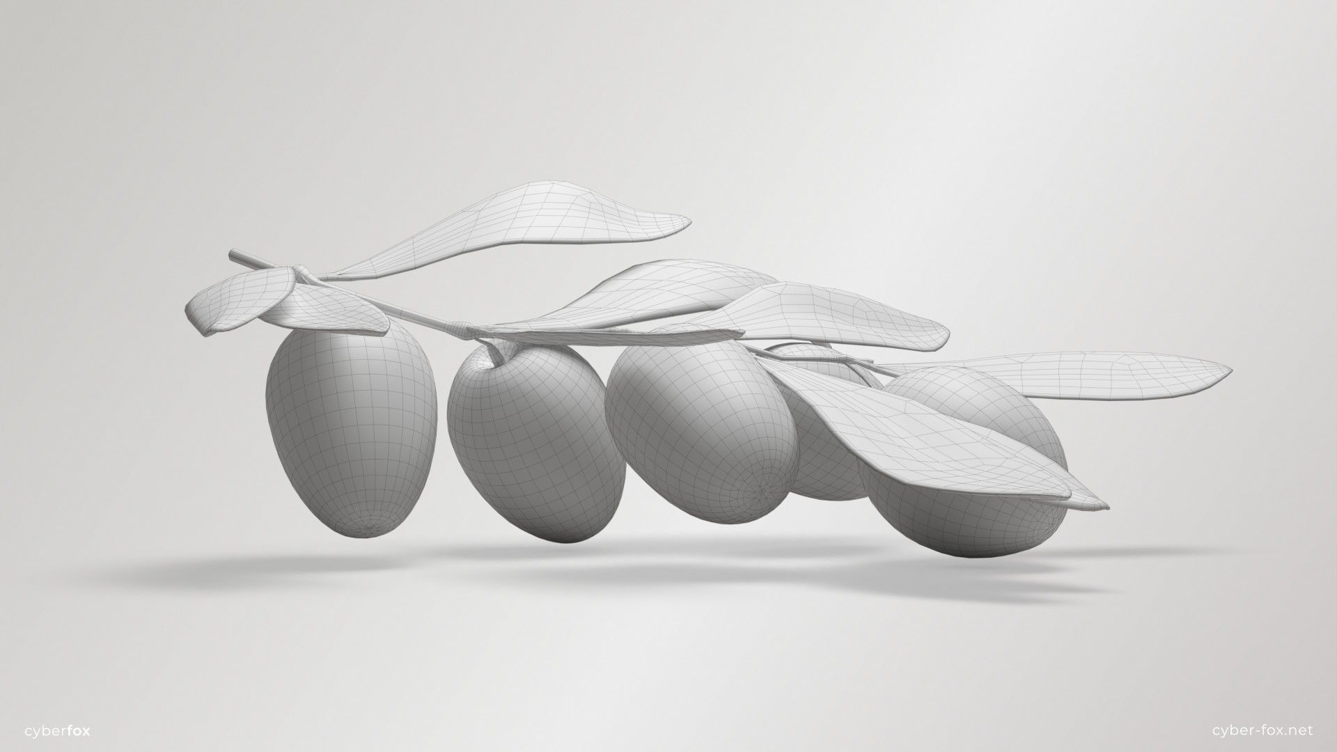 Green Olive Branch Low-poly 3D model_6