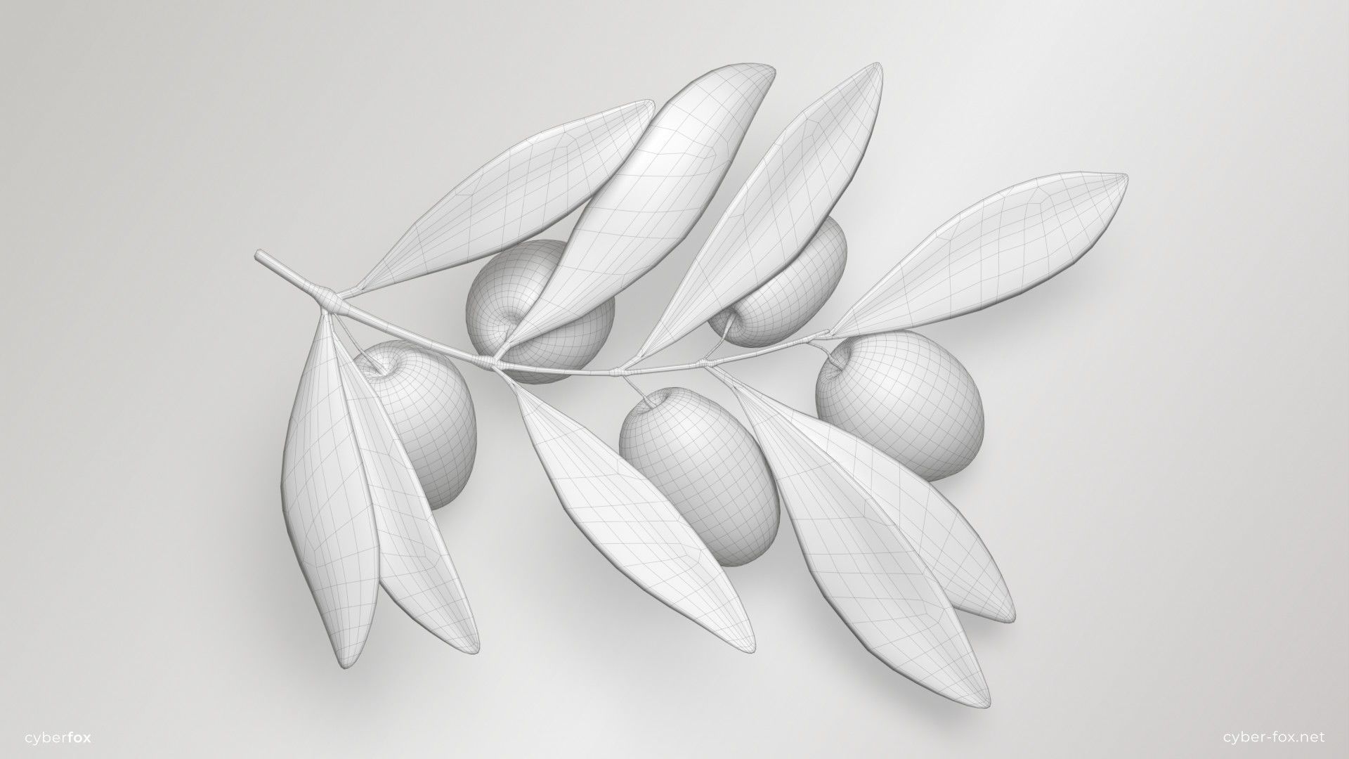 Green Olive Branch Low-poly 3D model_10