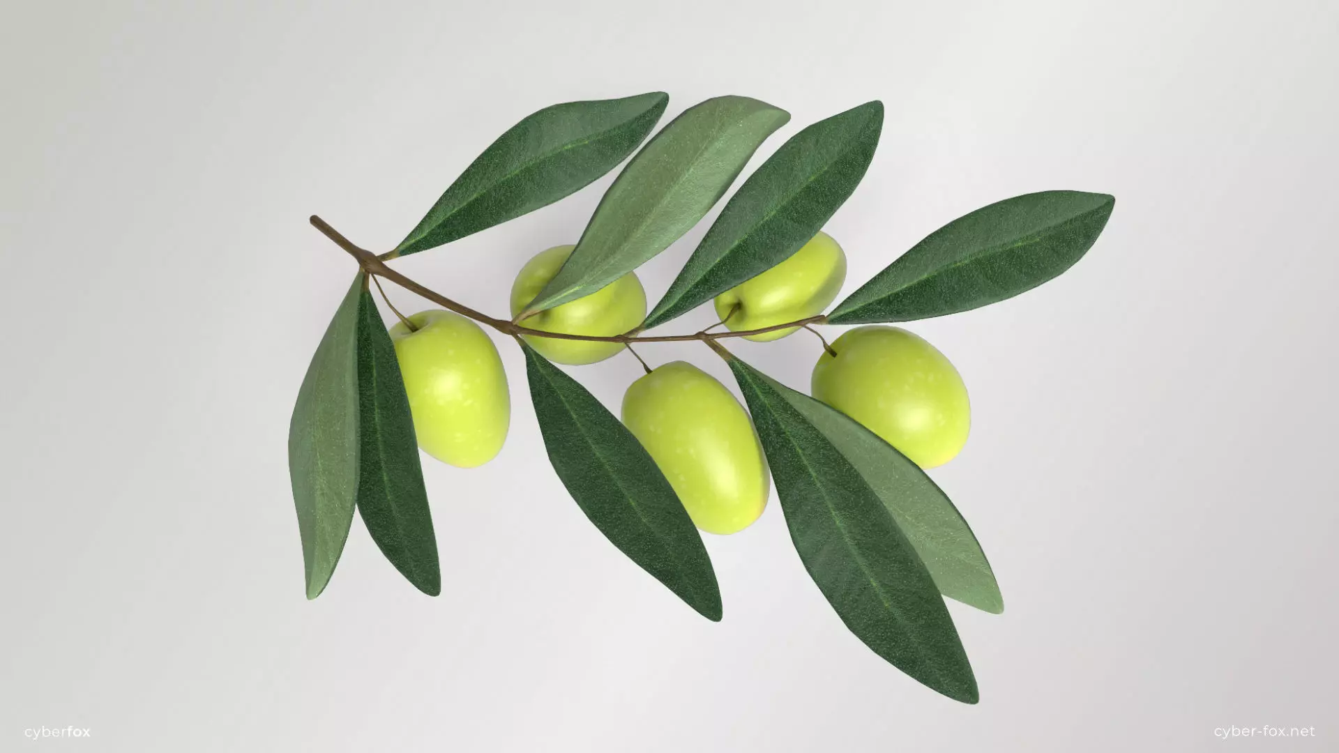 Green Olive Branch Low-poly 3D model_0