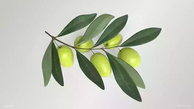 Green Olive Branch Low-poly 3D model