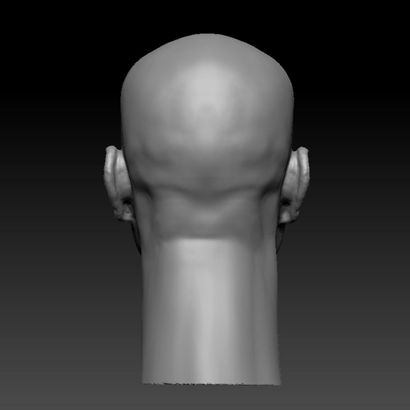 JIM CARREY HEAD SCULPTURE 3D PRINT MODEL 3D print model_3