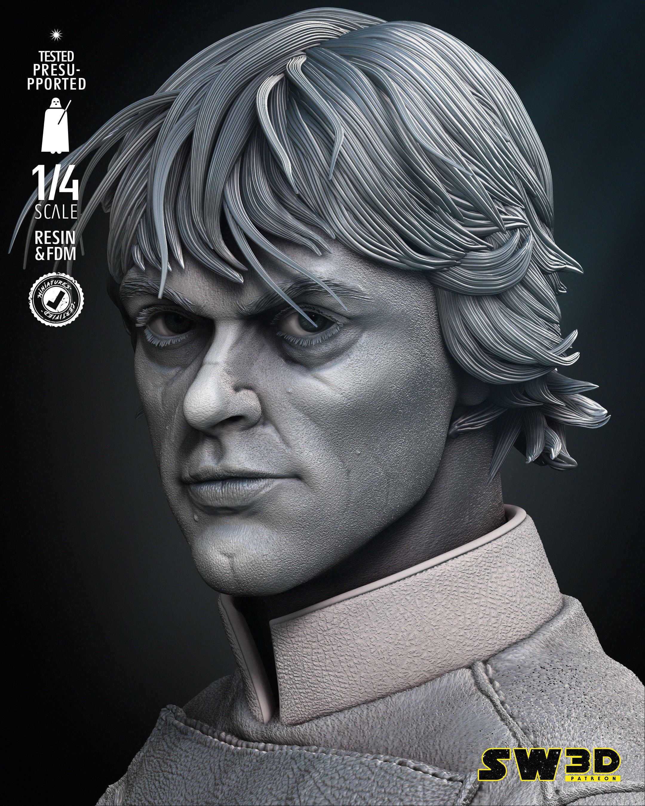STAR WARS Luke Skywalker Bust 3D print model_20