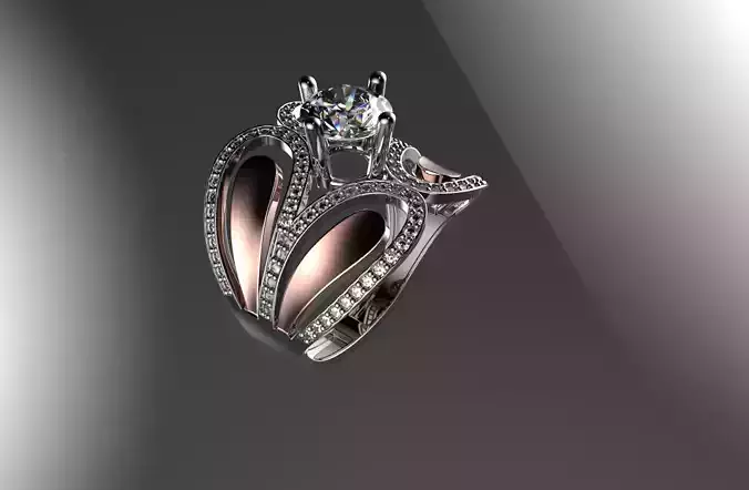 jewelry ring 48
