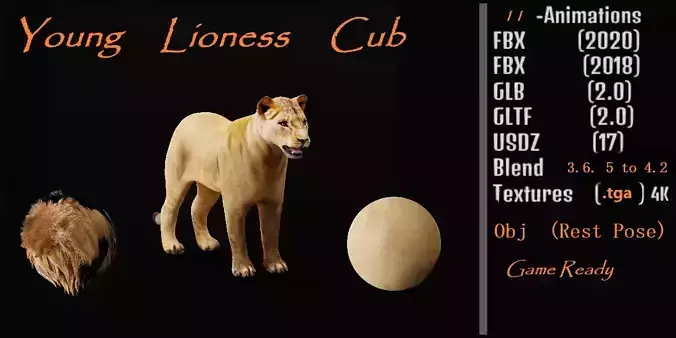 Lioness Cub