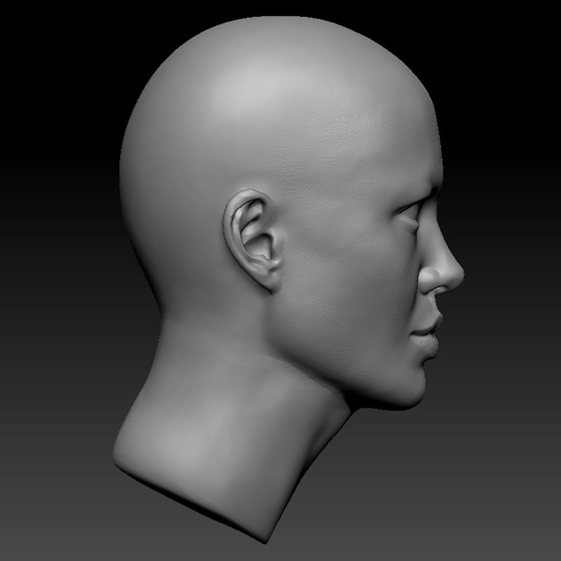 ANGELINA JOLIE HEAD SCULPTURE 3D PRINT MODEL 3D print model_2