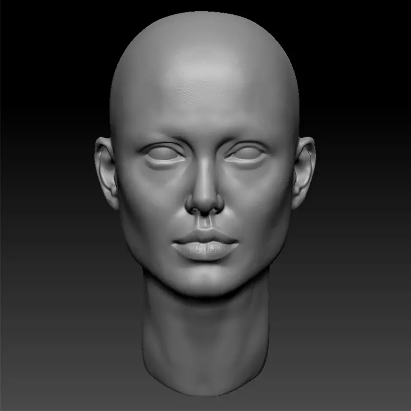 ANGELINA JOLIE HEAD SCULPTURE 3D PRINT MODEL 3D print model_0