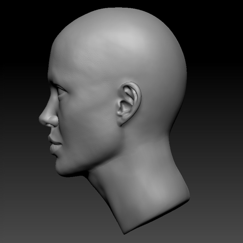 ANGELINA JOLIE HEAD SCULPTURE 3D PRINT MODEL 3D print model_4
