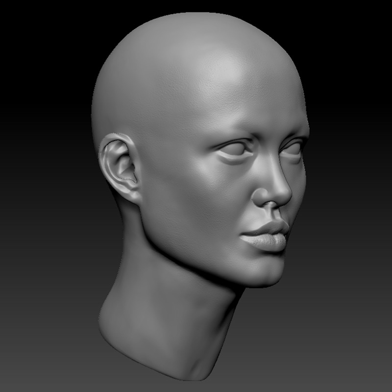 ANGELINA JOLIE HEAD SCULPTURE 3D PRINT MODEL 3D print model_1