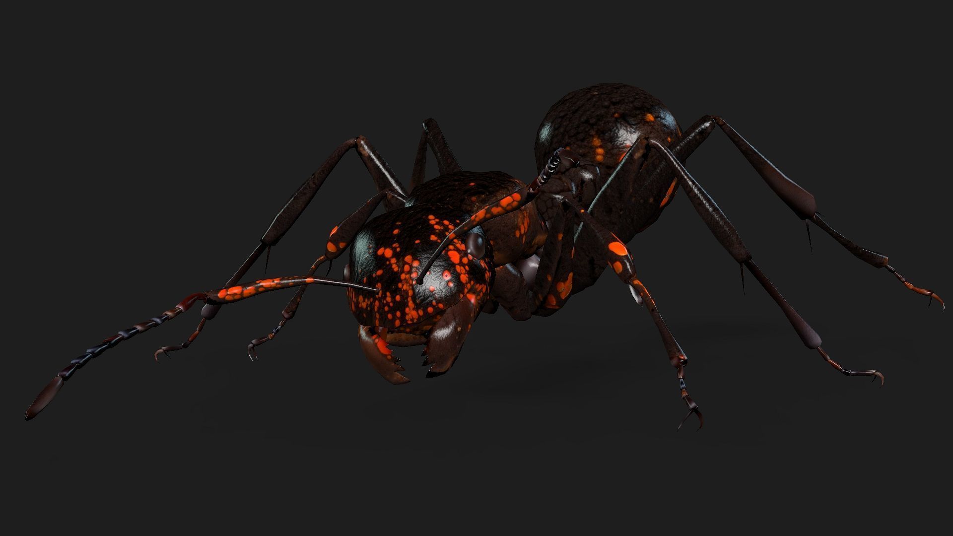 Ant-A2 3D model_4