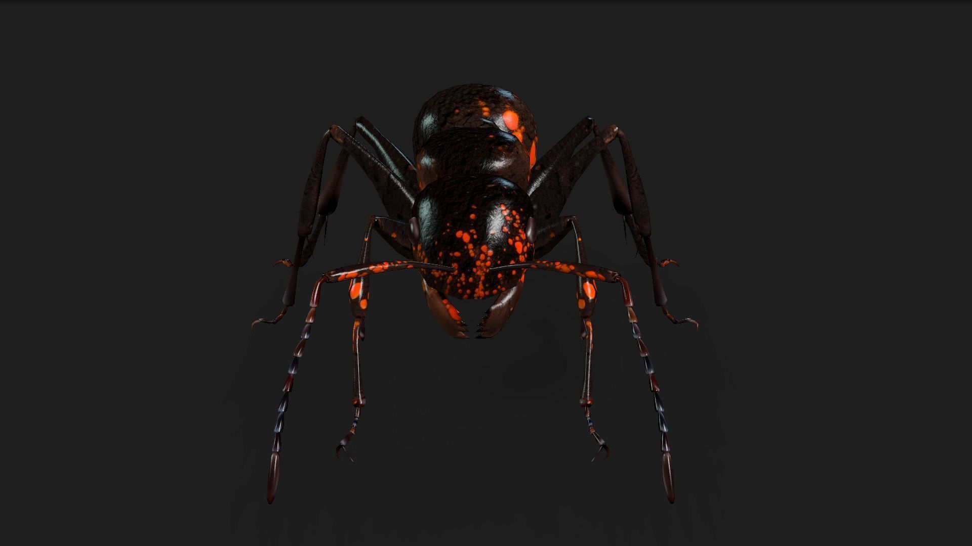 Ant-A2 3D model_11