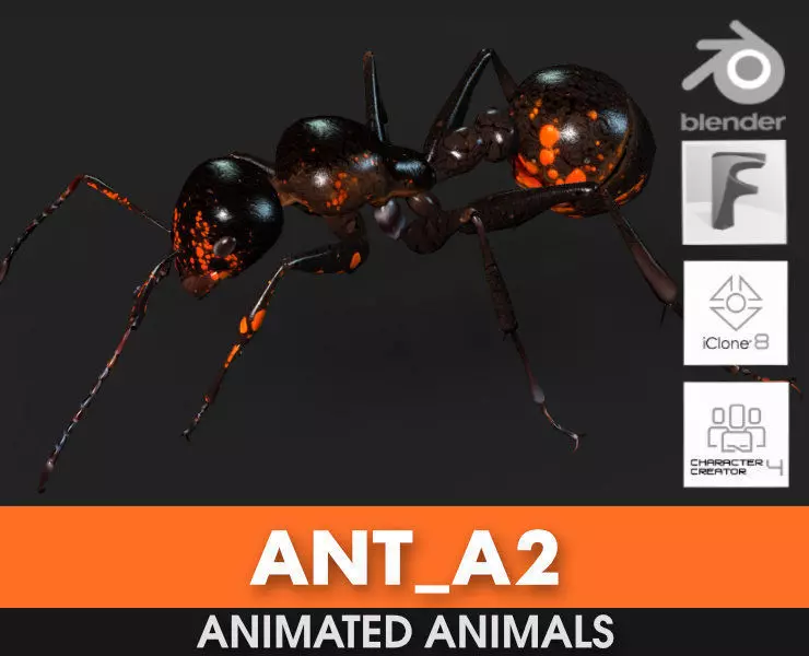 Ant-A2 3D model_0