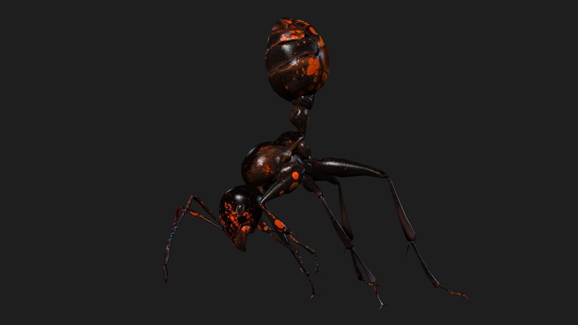 Ant-A2 3D model_15
