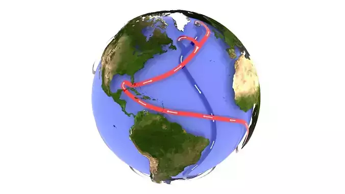 Thermohaline circulation - Static arrows  3D model