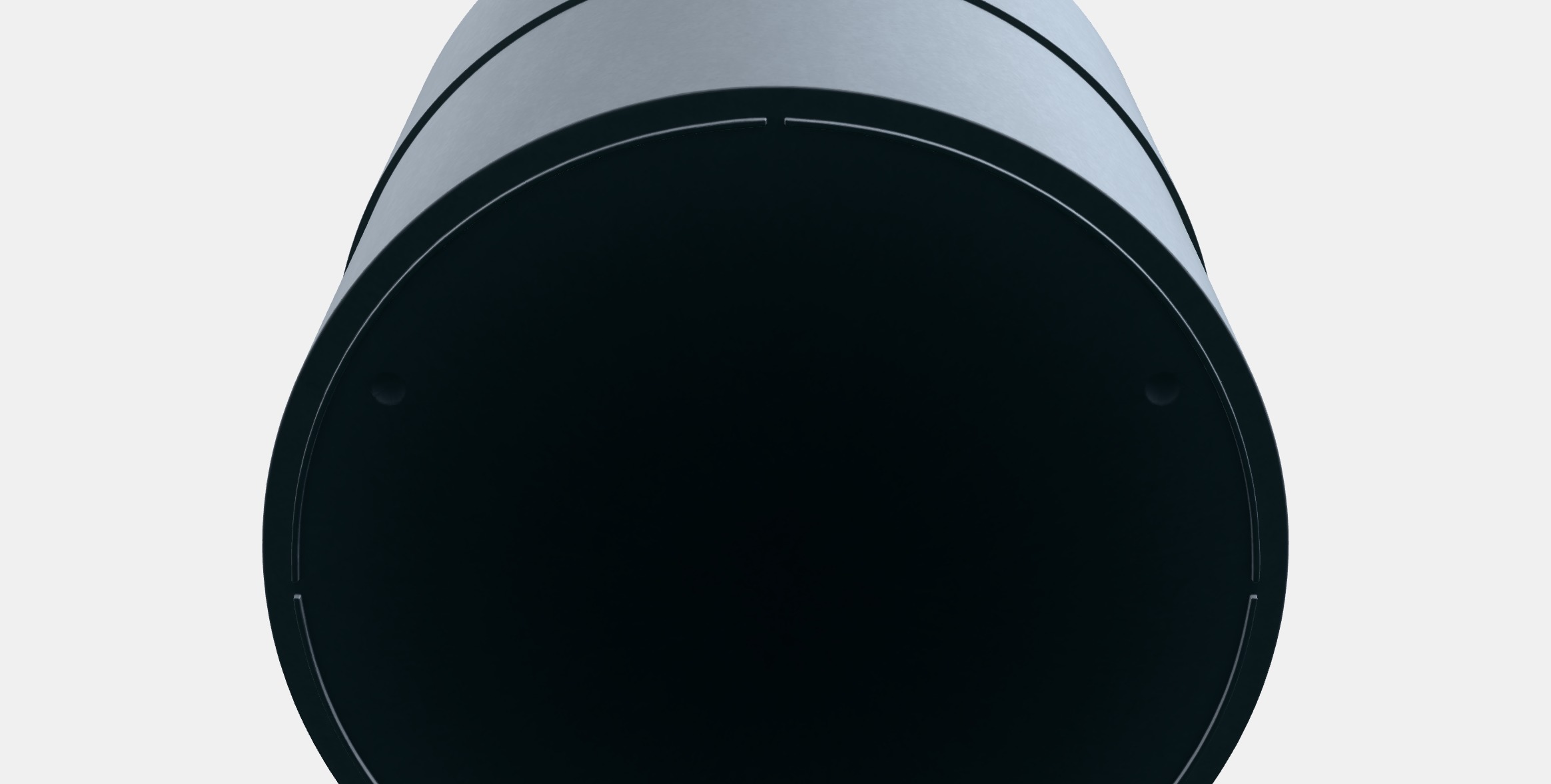 NYPON of the Raven Low-poly 3D model_5