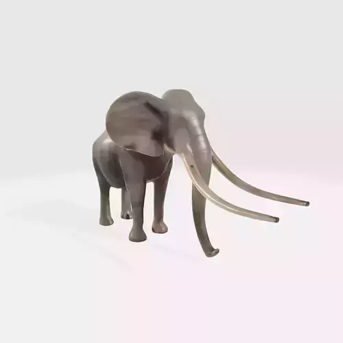 Realistic Elephant