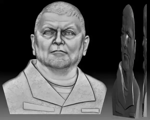 Zaluzhnyi Ukrainian Commander-in-Chief portrait - coin design