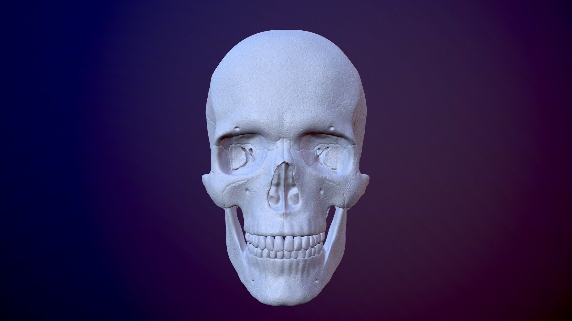 3D Detailed High and Low Poly Human Skull 3D model_2