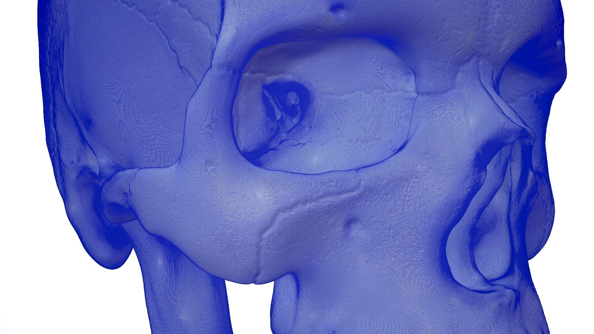 3D Detailed High and Low Poly Human Skull 3D model_26