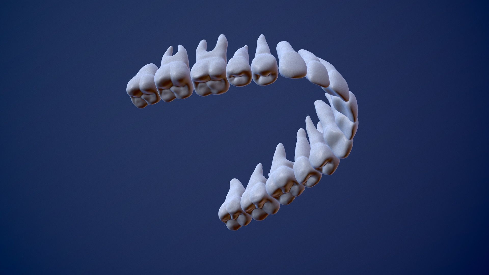 3D Detailed High and Low Poly Human Skull 3D model_24