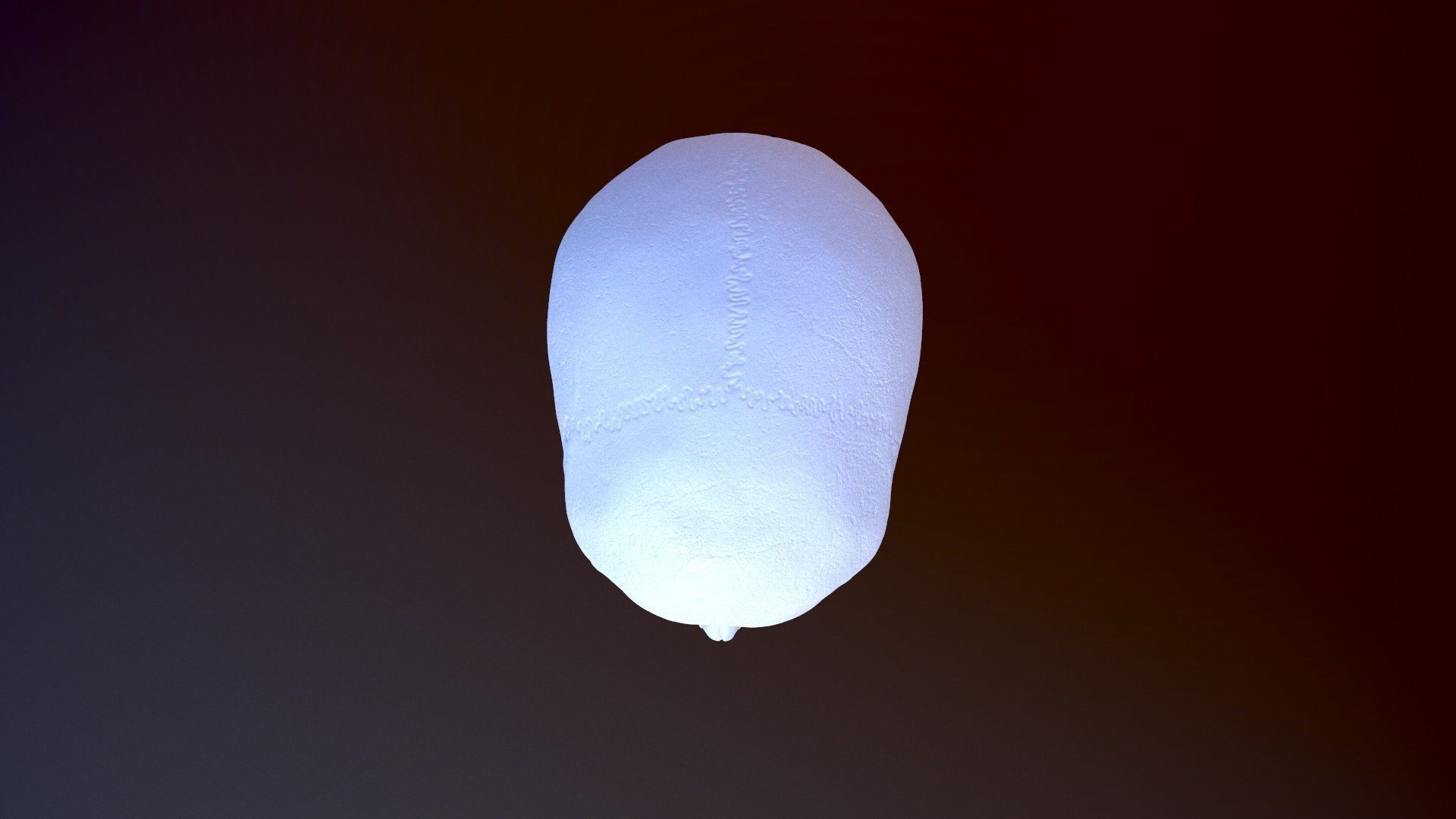 3D Detailed High and Low Poly Human Skull 3D model_14